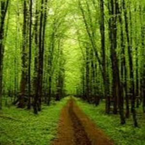 Meet your Posher, Boz